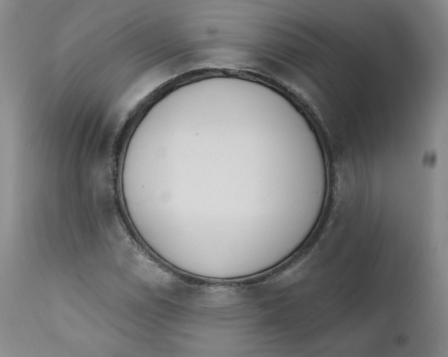 X0000110741114200907061000