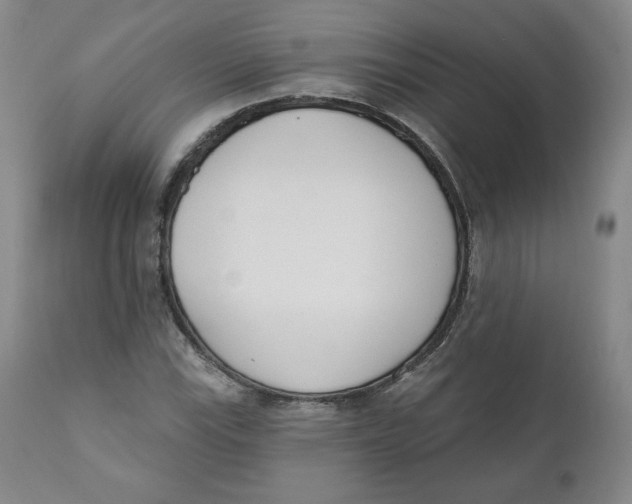 X0000110741115200907061000