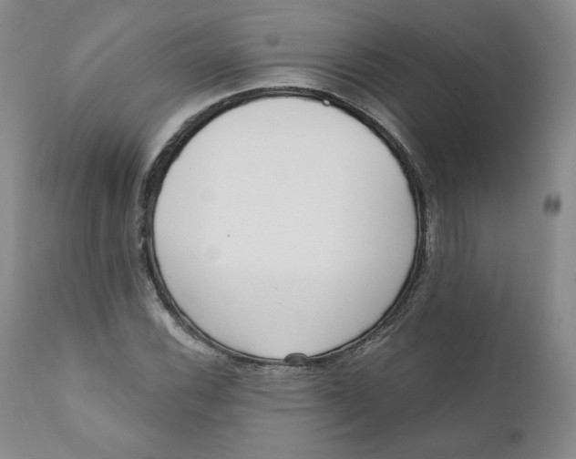 X0000110741116200907061000