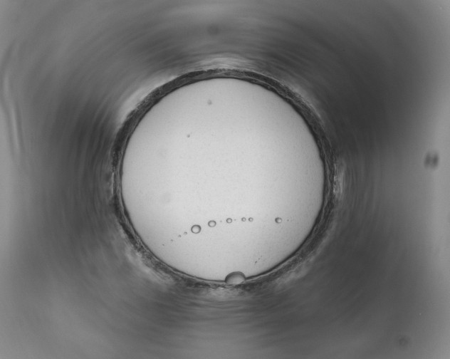 X0000110741117200907061000