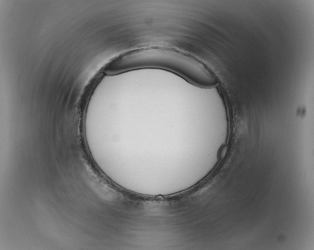 X0000110741118200907061000