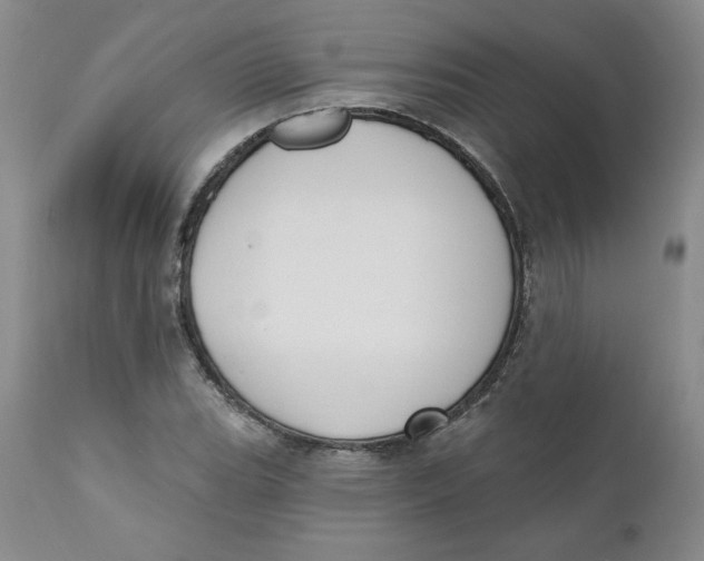 X0000110741119200907061000