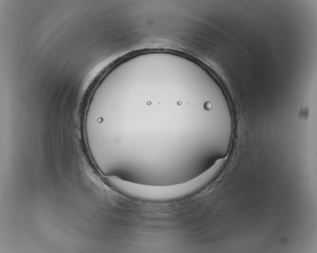 X0000110741120200907061000