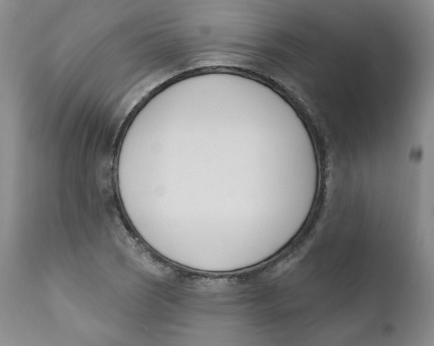 X0000110741121200907061000