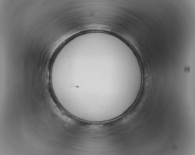 X0000110741125200907061000