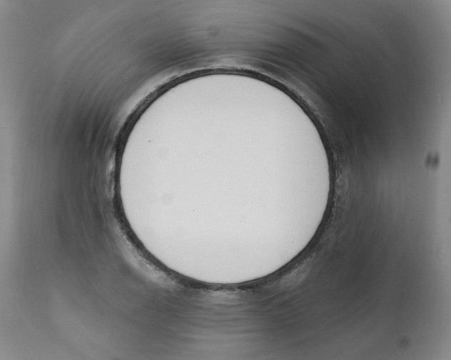 X0000110741126200907061000