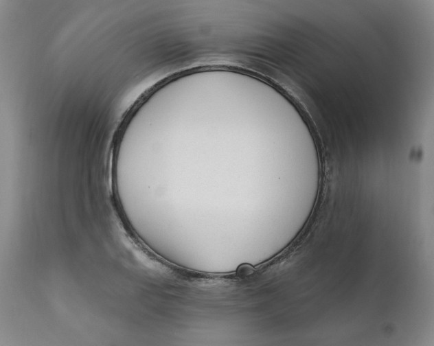 X0000110741127200907061000