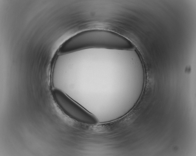 X0000110741128200907061000