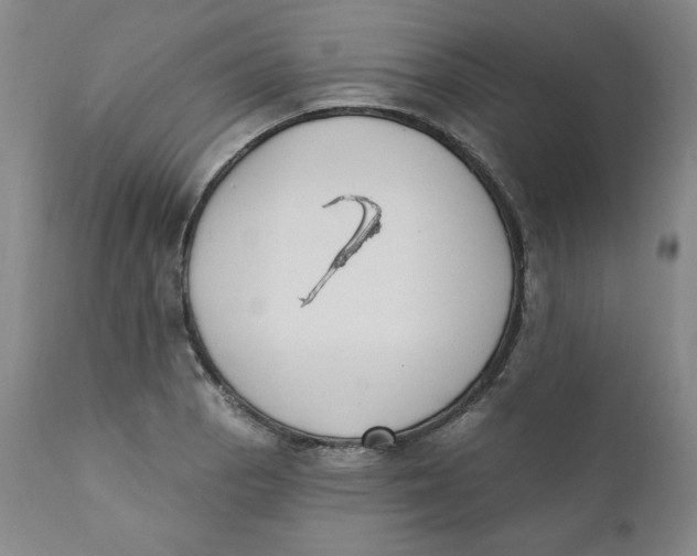 X0000110741129200907061000