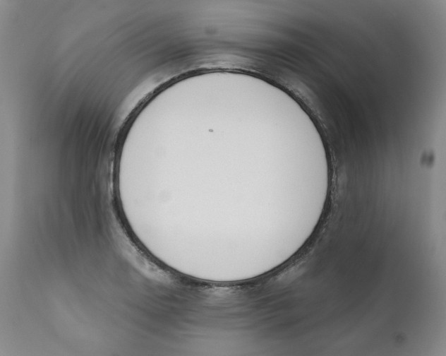 X0000110741130200907061000