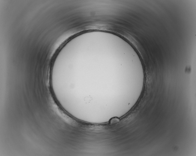 X0000110741131200907061000