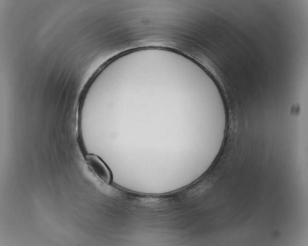 X0000110741132200907061000