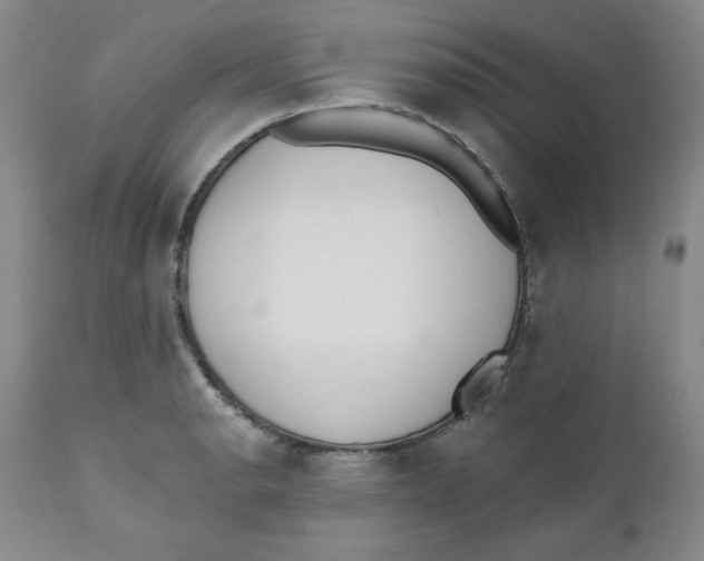 X0000110741134200907061000