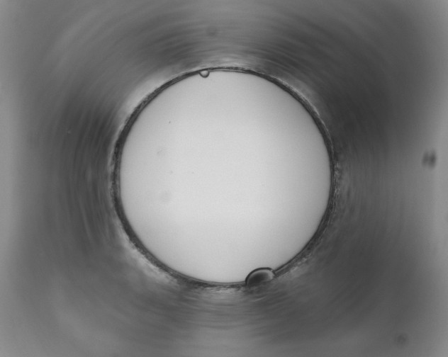 X0000110741135200907061001