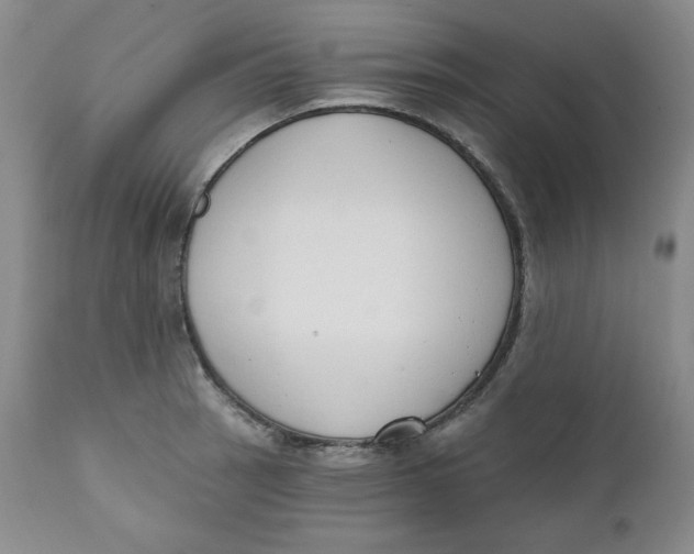 X0000110741137200907061001