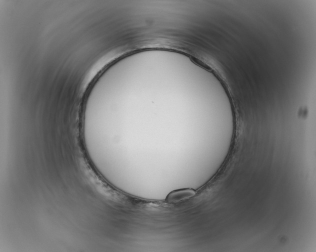 X0000110741138200907061001