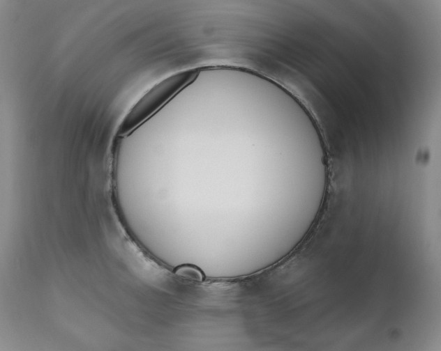 X0000110741140200907061001