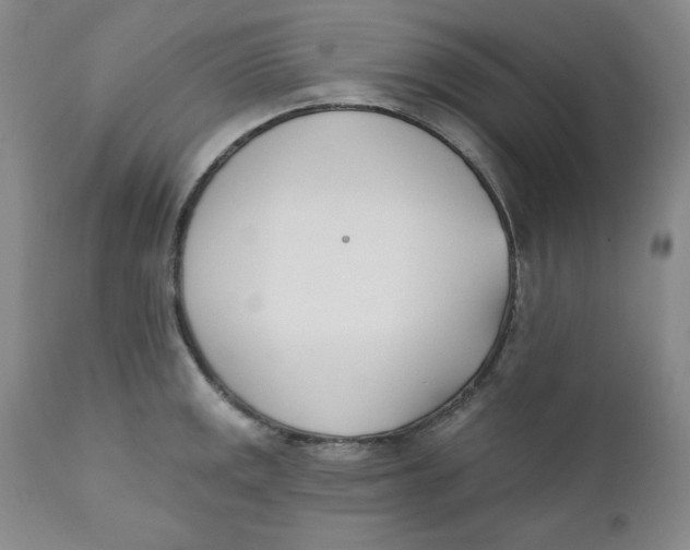 X0000110741141200907061001