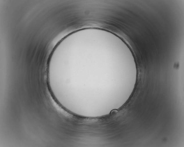 X0000110741143200907061001