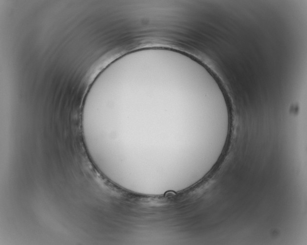 X0000110741145200907061001