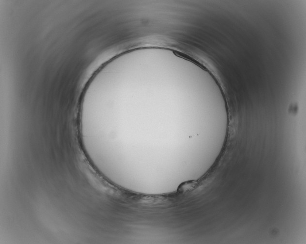 X0000110741146200907061001