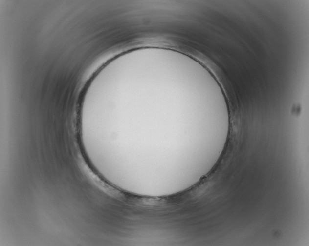 X0000110741147200907061001