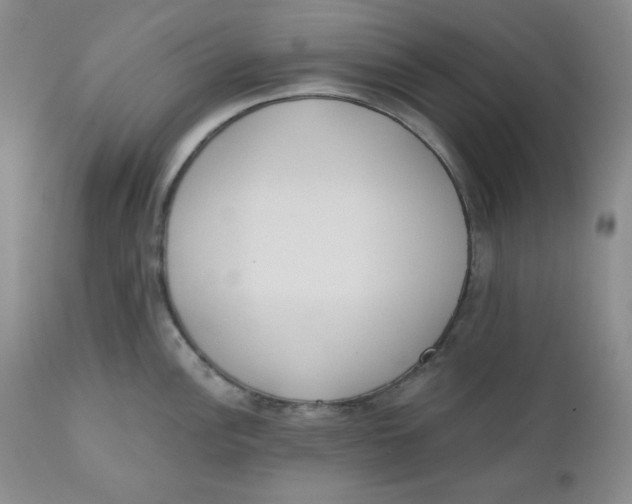 X0000110741148200907061001