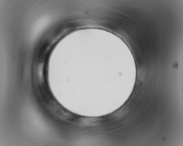 X0000110741150200907061001