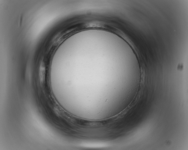 X0000110741151200907061001