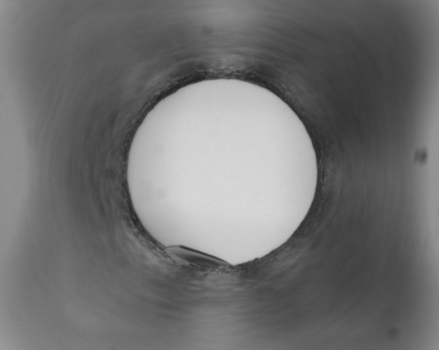 X0000110741153200907061000