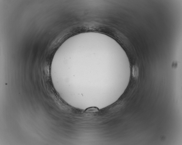 X0000110741155200907061000