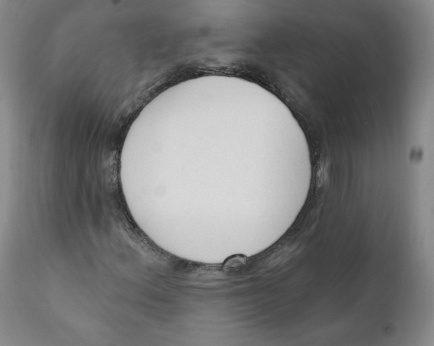 X0000110741156200907061000