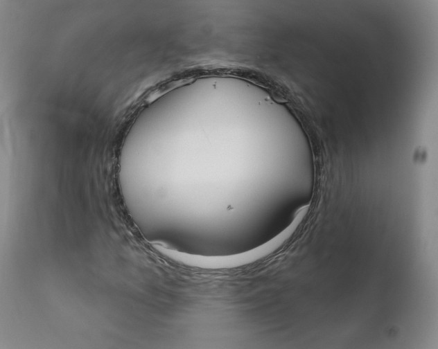 X0000110741157200907061000