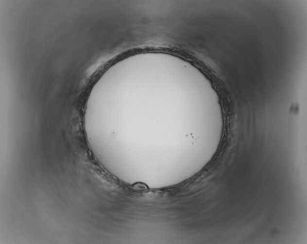 X0000110741160200907061000