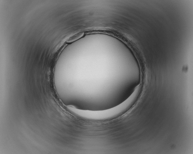 X0000110741161200907061000