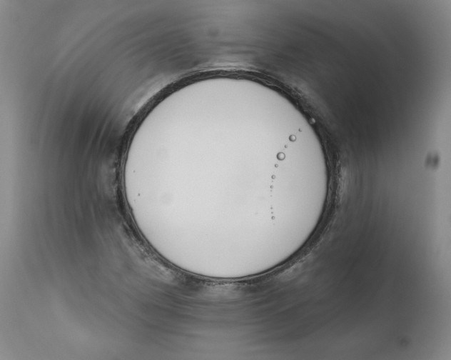 X0000110741162200907061000