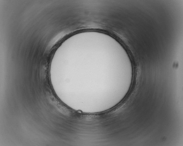 X0000110741163200907061000