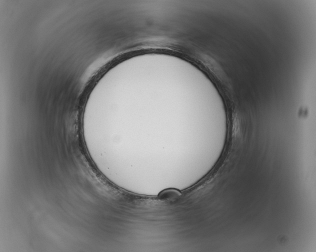 X0000110741164200907061000