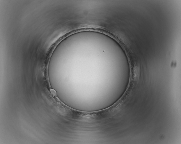 X0000110741165200907061000