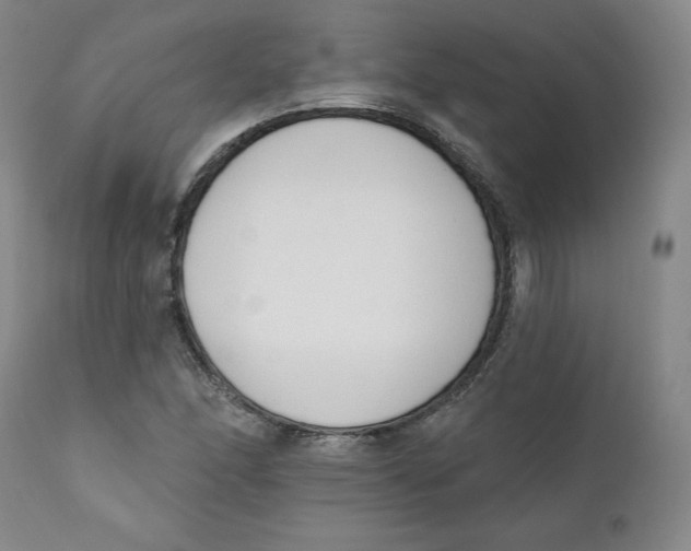 X0000110741166200907061000