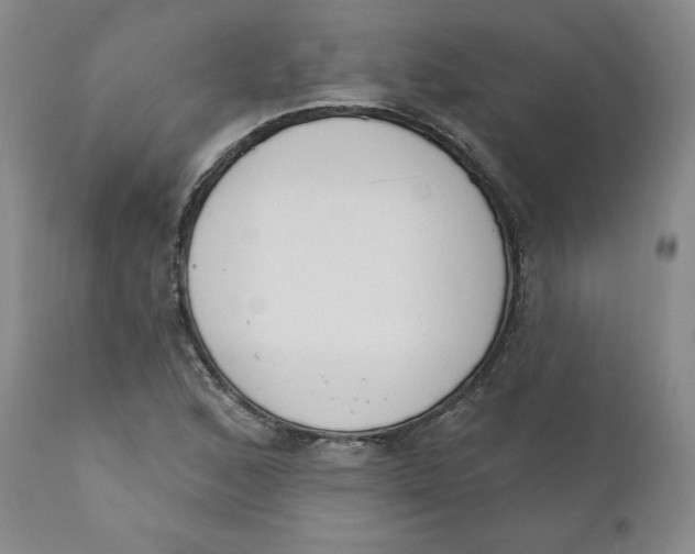 X0000110741168200907061000