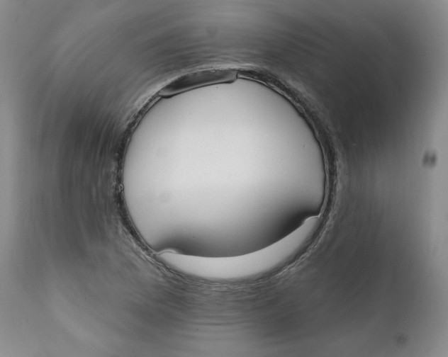 X0000110741169200907061000