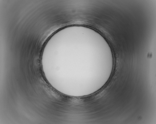 X0000110741170200907061000