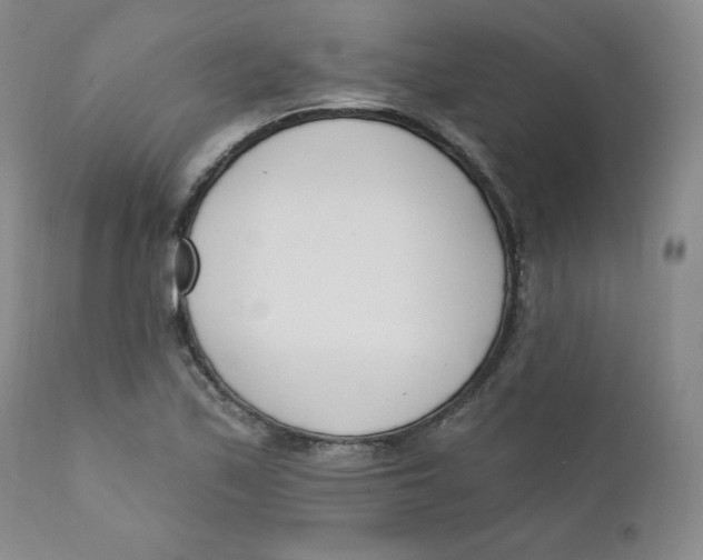 X0000110741171200907061000