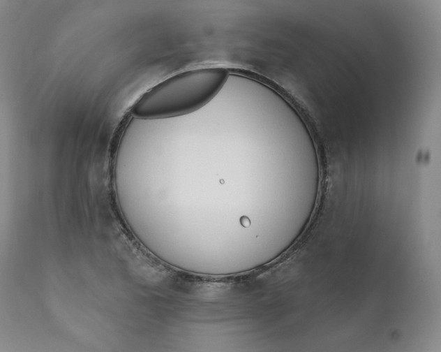 X0000110741173200907061000