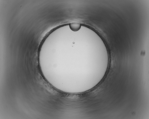 X0000110741174200907061000