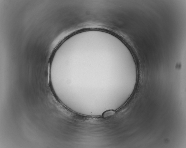 X0000110741175200907061000