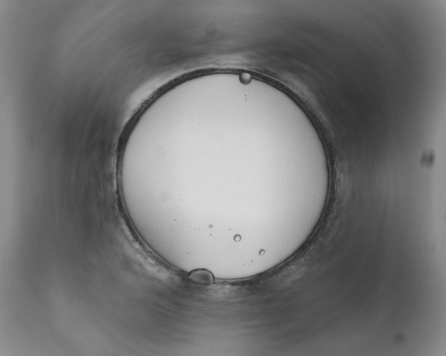 X0000110741176200907061000