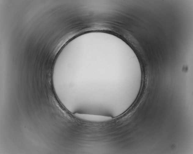 X0000110741177200907061000