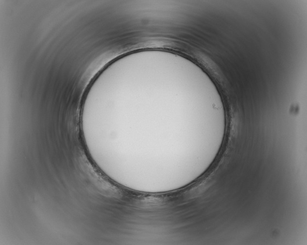 X0000110741178200907061000